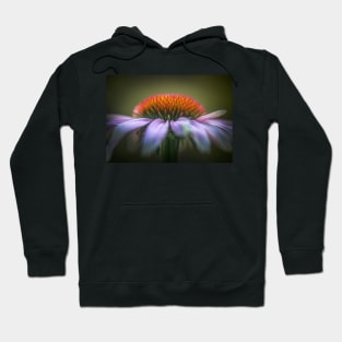 Echinacea flower close-up Hoodie